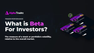 What is Beta For Investors